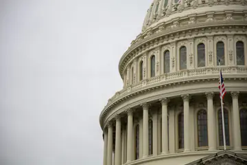 White capitol dome and a flag against an overcast sky