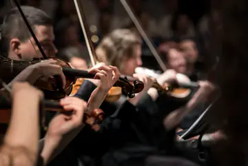 Violinists playing in a concert orchestra